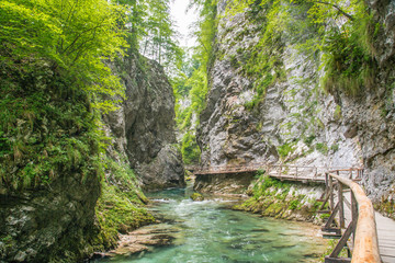 Vintgar-Klamm (Blejski vintgar) in den Jülischen Alpen, Slowenien