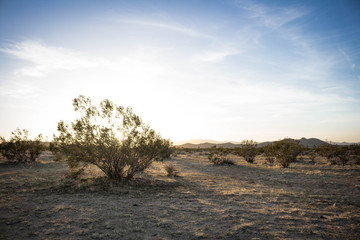 Fototapeta na wymiar Sunset in the Desert - 2