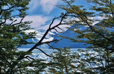 PAESAGGIO PATAGIONIA