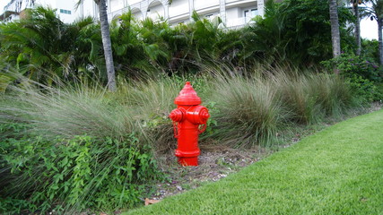 Red fire hydrant in a park