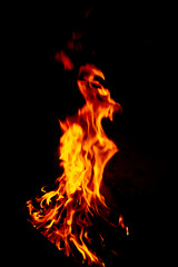 Fiery demon. The flame from the bonfire reminds the demon-goat. A photograph of a real fire, a flame is like an evil demon.