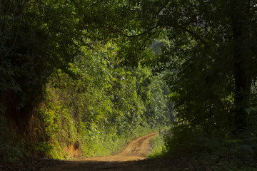 Estrada rural em Guarani, estado de Minas Gerais
