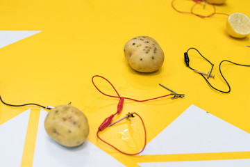 Potato battery STEM activity with potatoes, lemons, alligator clips, zinc and copper nails. Natural battery to turn on a led. scientific experiment for children on electricity on yellow background