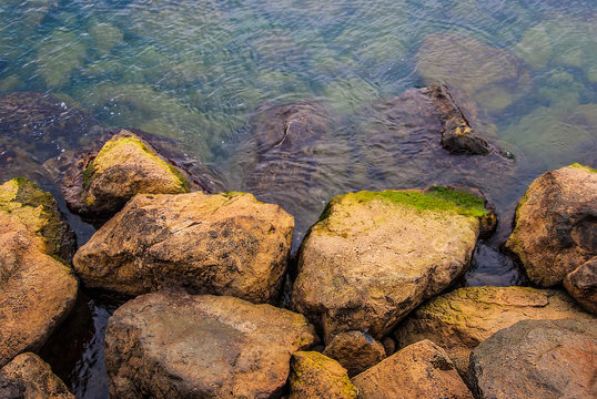 Sahildeki yosunlu ve parlak kayalar ve deniz suyu, Yakakent Sahili
