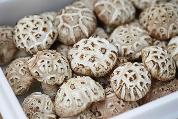 shiitake