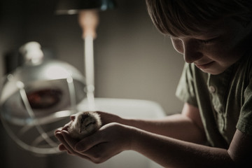 Boy Holding Baby Chick