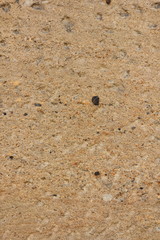 Texture of an old wall. Surface of an ancient temple in Prague. Background of stone for the designer. Pattern in brown tones