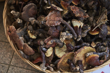 Dried Mushrooms