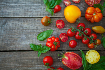  fresh organic colorful tomatoes on wooden surface