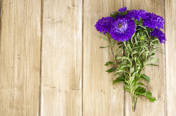 Fototapeta na wymiar Bouquet of autumn violet asters