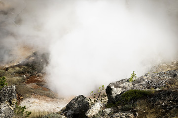 Yellowstone National Park