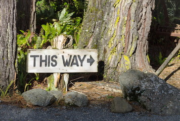 Close up image of a This Way sign post