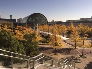 展示会