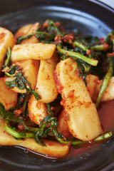 Kimchi, Korean pickles 