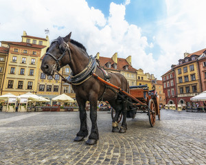 Fototapeta na wymiar Warsaw Old Town Market Square with a Beautiful Horse and A Decorate Carriage