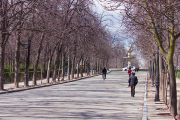 Purple Park