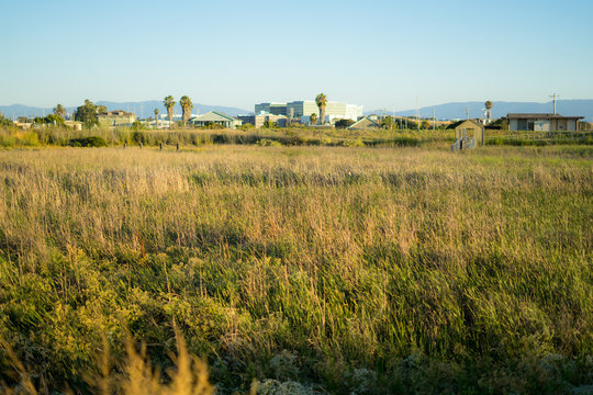 nature with sunset in Alviso Marina County Park