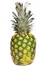 isolated pineapple on white ground