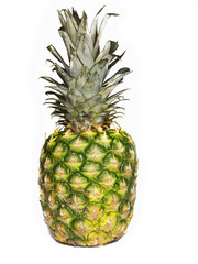 Fototapeta premium isolated pineapple on white ground