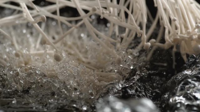 Throwing enoki mushroom into water. Shot with high speed camera, phantom flex 4K. Slow Motion.