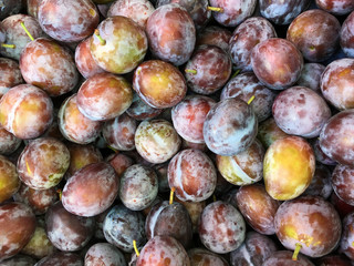 Close-up of organic plums at farmer's market, varying colors, some stems attached. Colors include soft purples, gold, bronze, green, and reds. The 