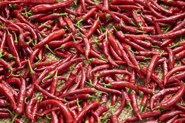 red hot chili peppers