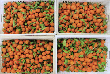 Orange basket filled with fruit baskets at the fruit market
