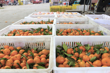 Orange basket filled with fruit baskets at the fruit market