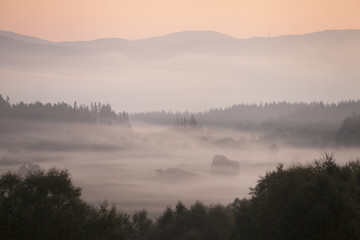 Obraz na płótnie Canvas Trees in mist at north end of Lock Loyne in the Scottish Highlands during sunrise.