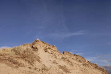 Fototapeta na wymiar Sand dune at braunton burrows nature reserve with blue sky
