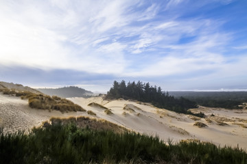 Sand dunes on the Oregon Coast, USA