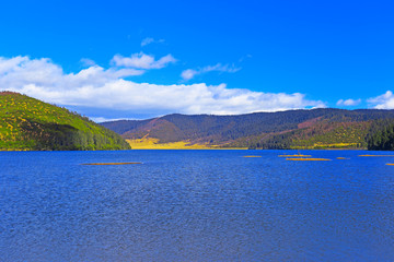 Obraz premium Beautiful view of Pudacuo National Forest Park on the Shangri-La Plateau in China in spring