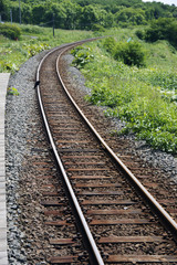 Fototapeta premium 線路に烏