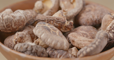 Pile of dried mushroom