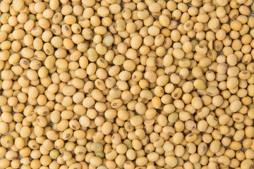 Close up of soybeans for background.