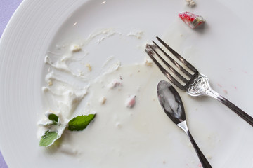 ケーキを食べ終えた皿