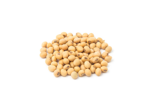 Soybeans isolated on white background.
