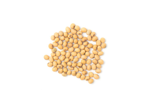 Soybeans isolated on white background.