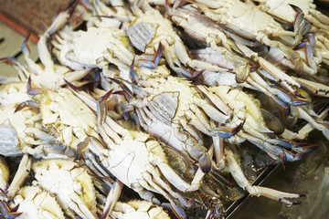 fresh crabs in market