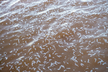 The foam at the parana river in Itaipu dam