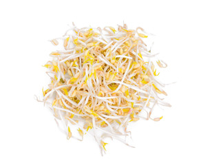 bean sprouts isolated on white background, top view, flat lay