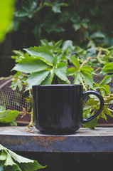 A long view of a blank black coffee mug on the old overgrown fire pit in the green garden. 
