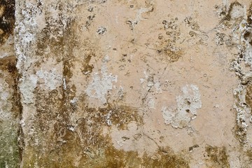 texture of old wall