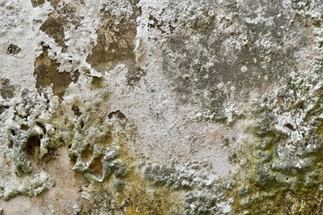 texture of old wall