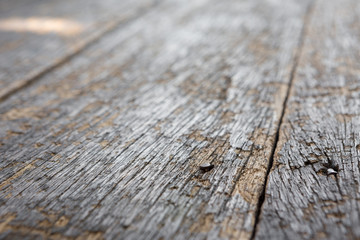 Close up Nails in the old plank