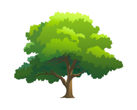 Tree Cartoon Images – Browse 928,575 Stock Photos, Vectors, and Video |  Adobe Stock
