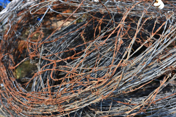 Rusted Barbed Wire Abstract