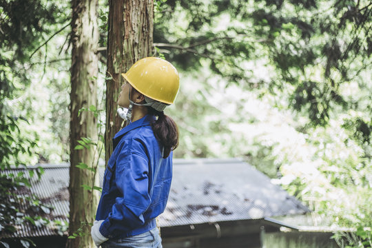 木の点検をする作業服の女性