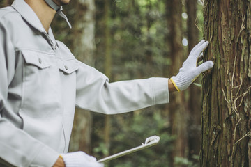 木の点検をする作業着の男性