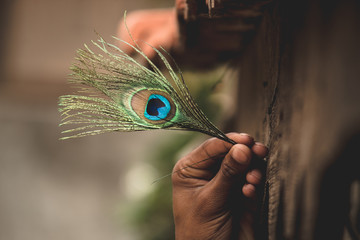 Man holding Peacock Feather